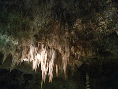 Carlsbad_Caverns_122307 056